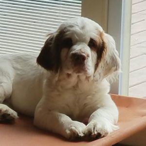 Meet your Posher, Lori